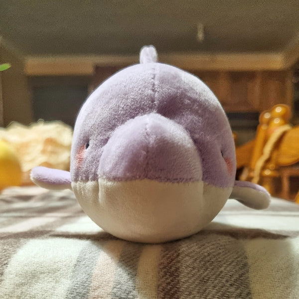 Mr Dolphin handmade plush(approx. 13cm long x 7cm wide)