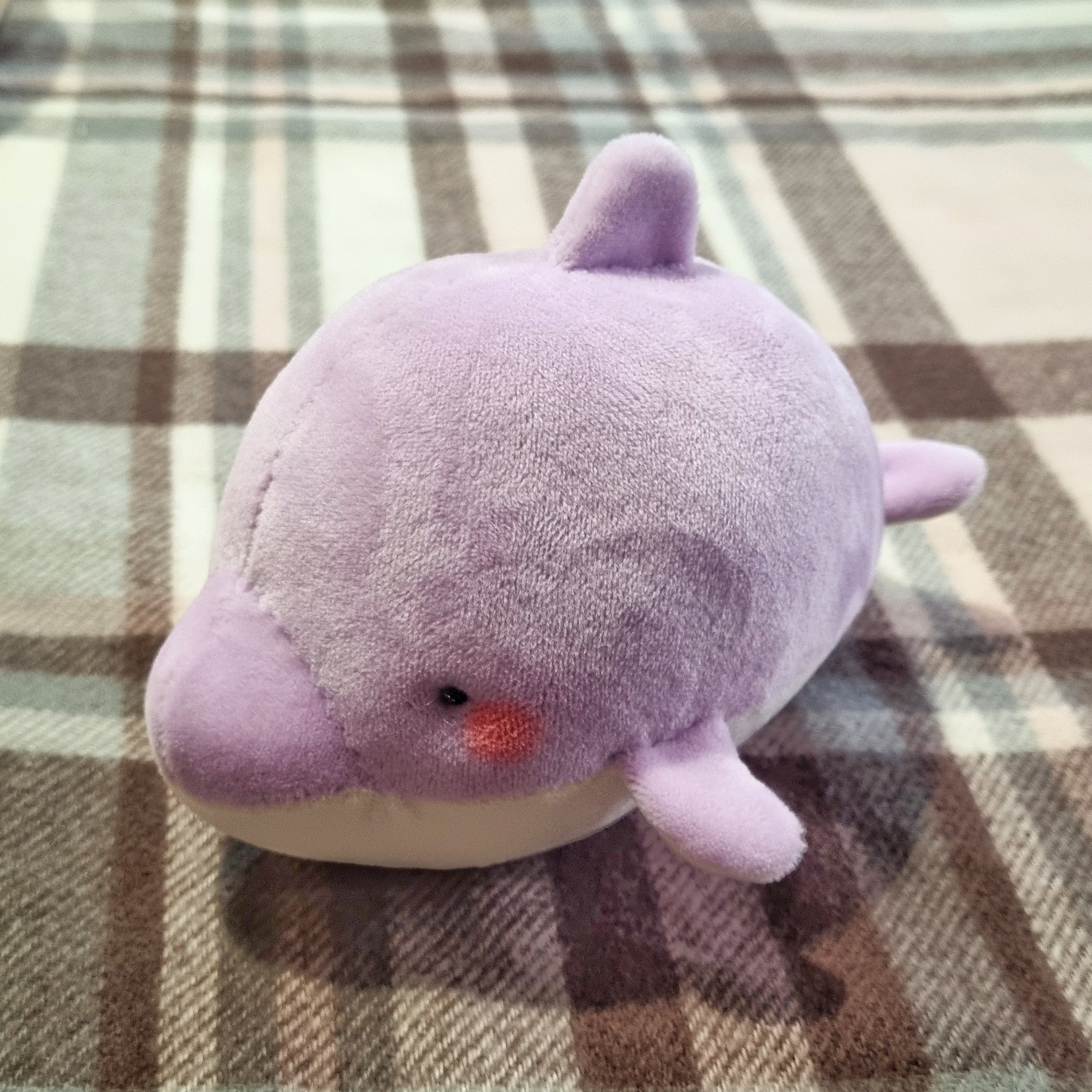 Mr Dolphin handmade plush(approx. 13cm long x 7cm wide)